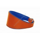  Ace Traditional Leather Dog Collar:  Multicolour 